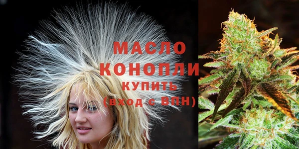 гашик Горняк