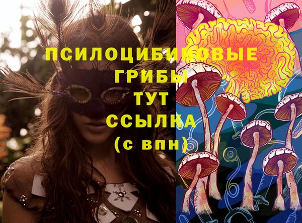 соль курить ск Вяземский